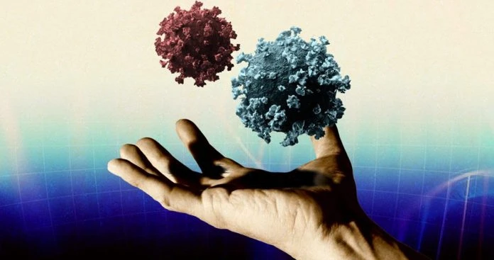 很多人已是第2或3次感染   大馬專家：BA.4及BA.5更厲害