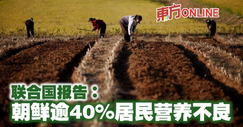 聯合國報告：朝鮮逾40%居民營養不良