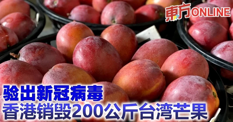 驗出新冠病毒　香港銷毀200公斤台灣芒果