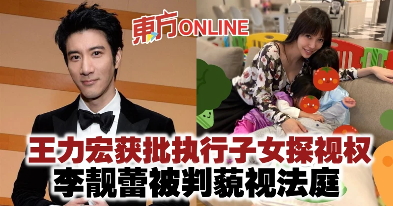 王力宏獲批執行子女探視權　李靚蕾被判藐視法庭