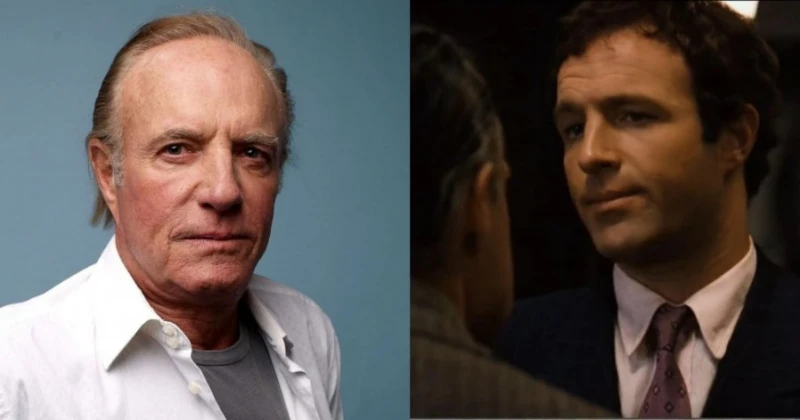 《教父》傳奇男星占士堅逝世　享壽82歲