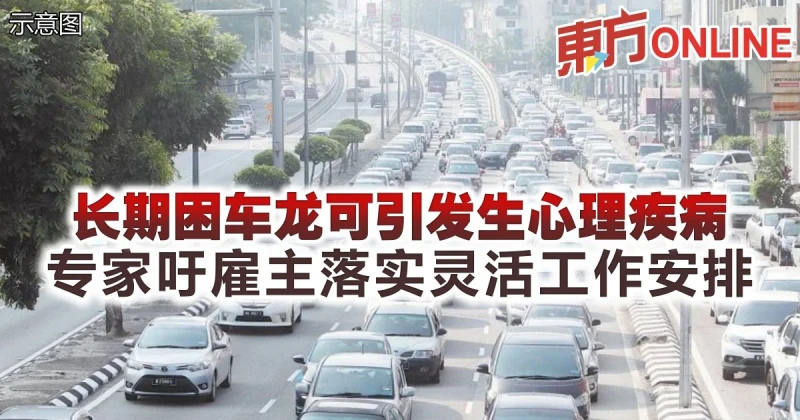 長期困車龍可引發生心理疾病　專家吁僱主落實靈活工作安排