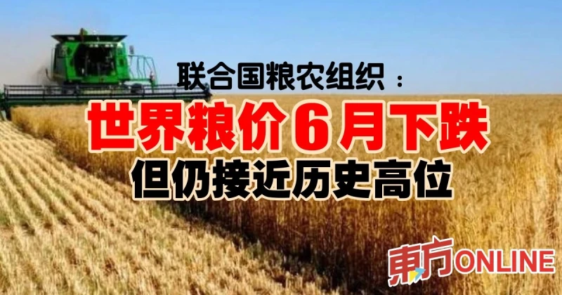 聯合國糧農組織：世界糧價6月下跌　但仍接近歷史高位
