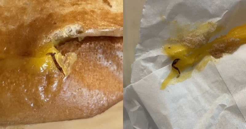 俄版「麥當勞」賣發霉漢堡　被批未能保持水準