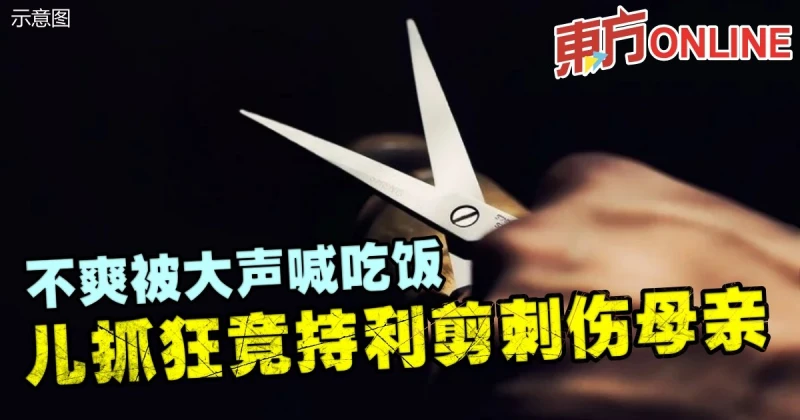 不爽被大聲喊吃飯　兒抓狂竟持利剪刺傷母親
