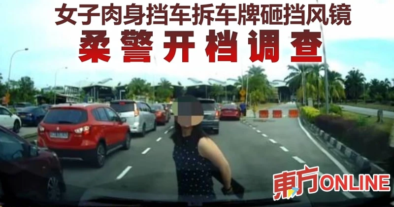 女子肉身擋車拆車牌砸擋風鏡　柔警開檔調查