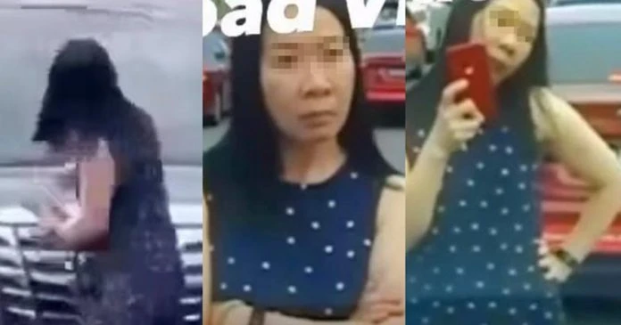 肉身擋車還拆車牌砸擋風鏡 警方開檔展開調查