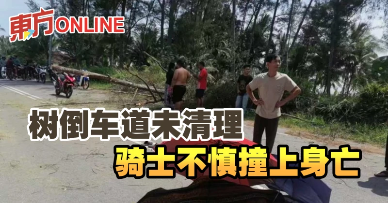 樹倒車道未清理　騎士不慎撞上身亡