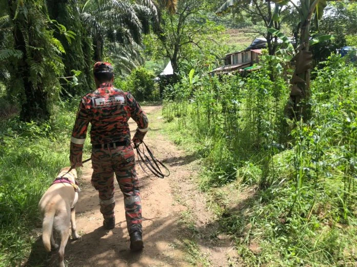 小女孩失蹤第2天無音訊 天氣不佳搜尋行動暫停