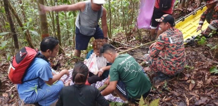 耕種時突被倒樹壓中 女子肩膀受傷送醫