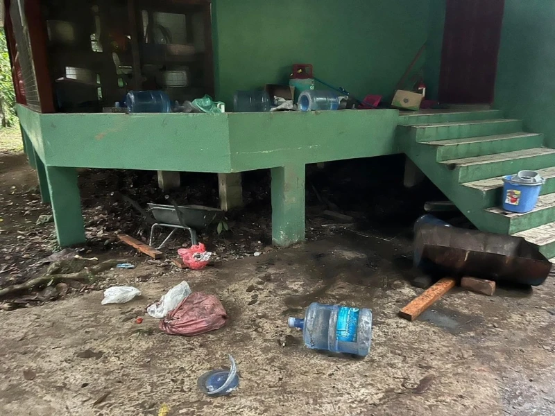 小矮象「搗亂」闖入破壞 達瑙基朗研究中心一片狼藉