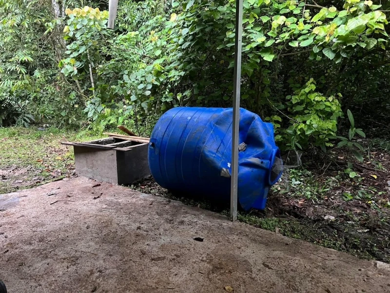 小矮象「搗亂」闖入破壞　達瑙基朗研究中心一片狼藉