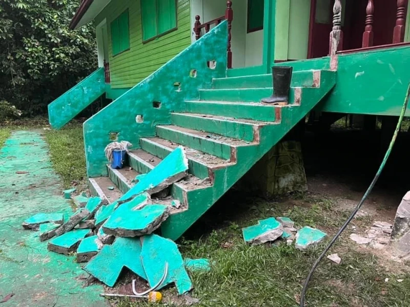 小矮象「搗亂」闖入破壞　達瑙基朗研究中心一片狼藉