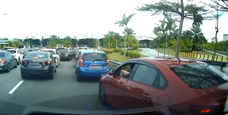 肉身擋車火爆女遭起底 　網民：大馬貞子