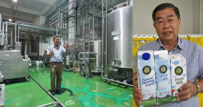 成本暴漲100%   沙巴170家乳牛畜牧業倒閉