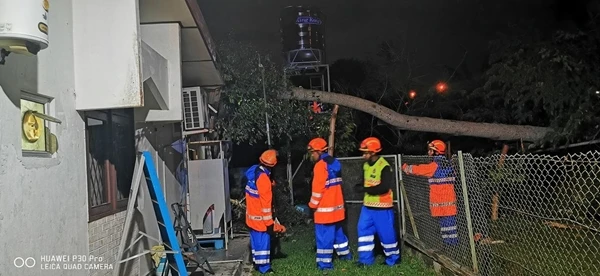 閩暴風釀多起倒樹 陳匡維私邸屋頂遭殃