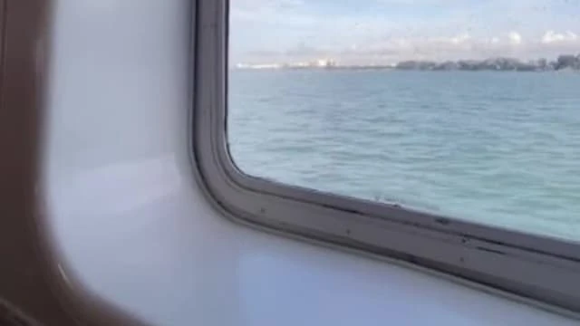 疫情期間沒訪客光顧卻未閒著 迪沙魯果園研新品等客重臨