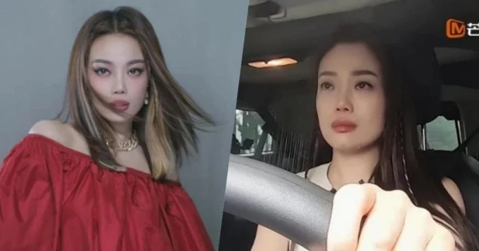 母親的遺憾讓她揪心 容祖兒長期孤獨邊開車邊落淚