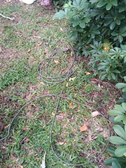 涉破壞公物騷擾小販　疑患精神病男子被捕