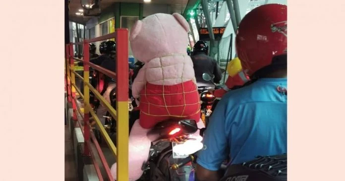 網傳摩哆騎士載粉色泰迪熊通關照 網民大呼可愛