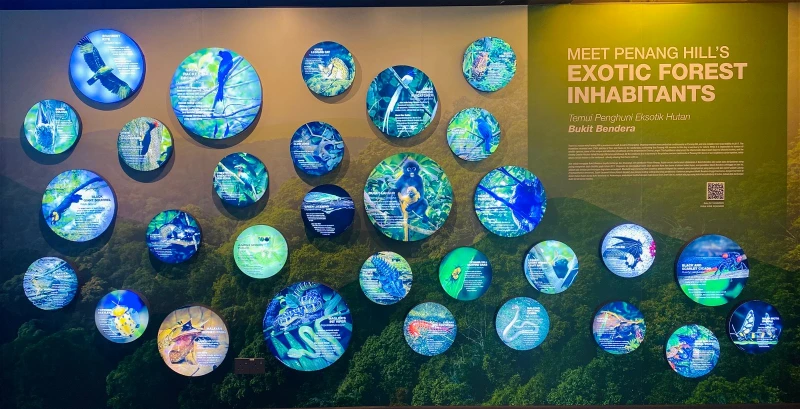 升旗山邊崖別墅提升為展覽館　檳威美景盡收眼帘