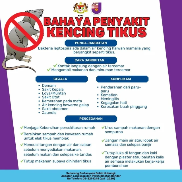 捕老鼠換現金　野新市議會每隻賞3令吉