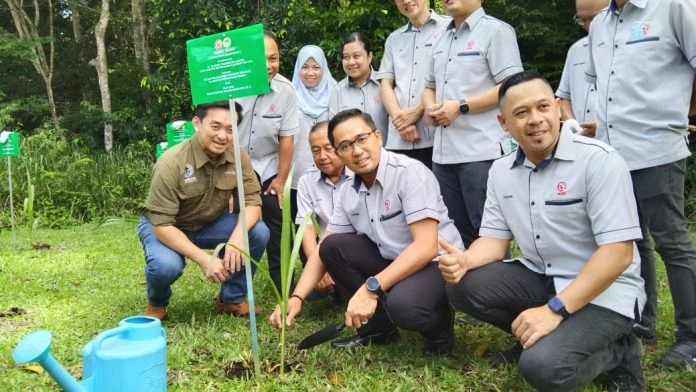沙電馬廖盆地種植象草 為野生象群提供食源