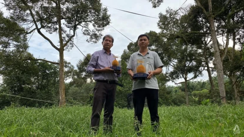 檳城老樹黑刺擊敗貓山王 獲評榴槤世錦賽「王中王」