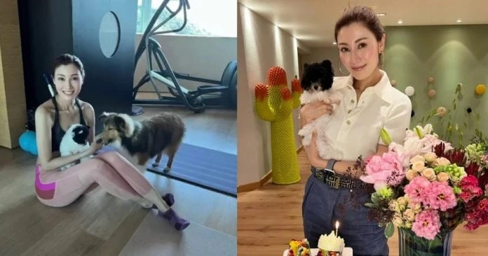 52歲李嘉欣曬運動後美照 零贅肉完美體態網贊猶如少女