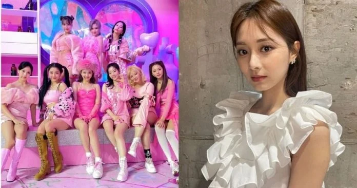 被熱情粉絲「線上求婚」　周子瑜甜笑回應影片曝光