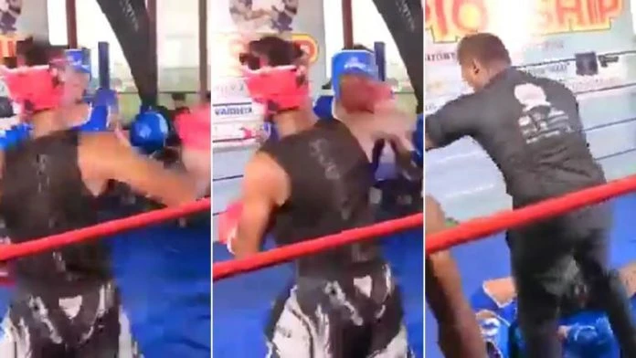 對手反擊正中面門　23歲格鬥家遭「一拳斃命」