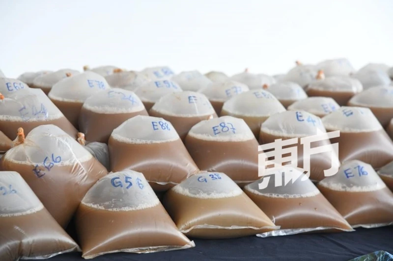 警搗販毒活動捕2男　起383公升哥冬葉水