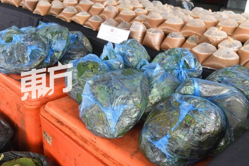 警搗販毒活動捕2男　起383公升哥冬葉水