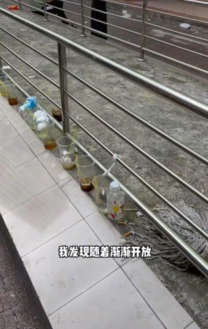 牛車水淪為成獅城最髒亂地方？中國留學生吁同鄉多注意自身行為