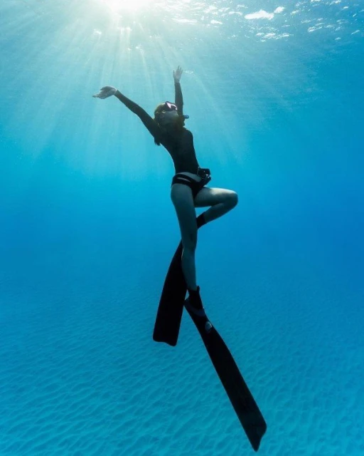 夏威夷潛水巧遇奇景　李施嬅：「緣份…讓我遇上他們」