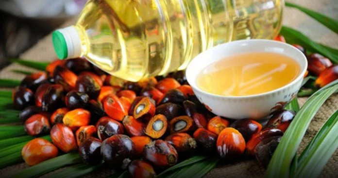 8月原棕油參考價 每公噸RM5257.91