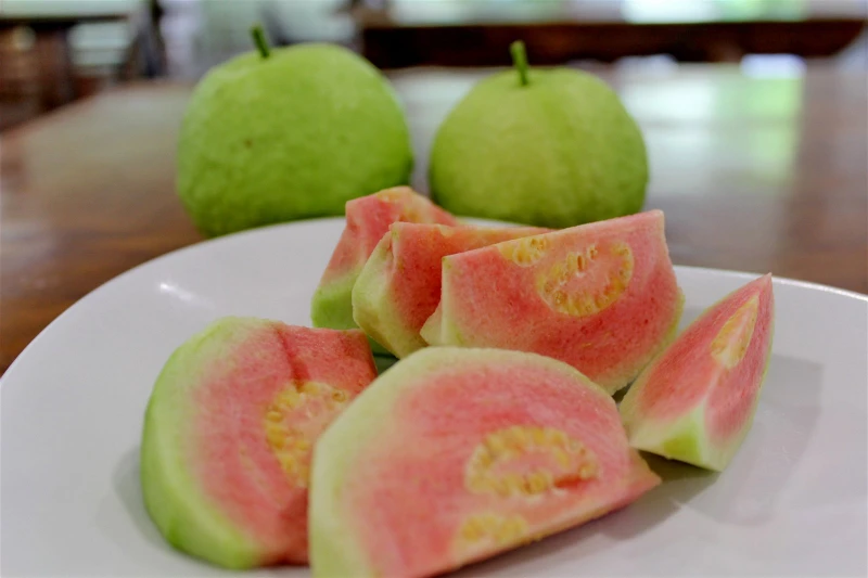 台灣紅心芭樂口在本地種　施肥份量需多30%