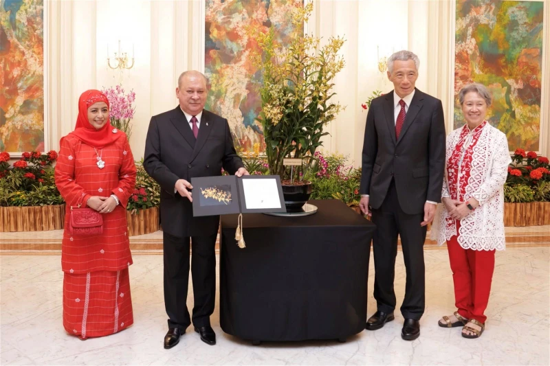 獅城新品種胡姬花　以柔蘇丹伉儷名字命名