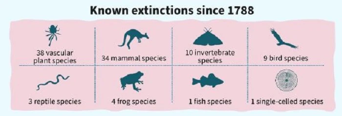 澳洲政府報告：當地環境陷入「災難性」衰退，野生動物面臨絕種