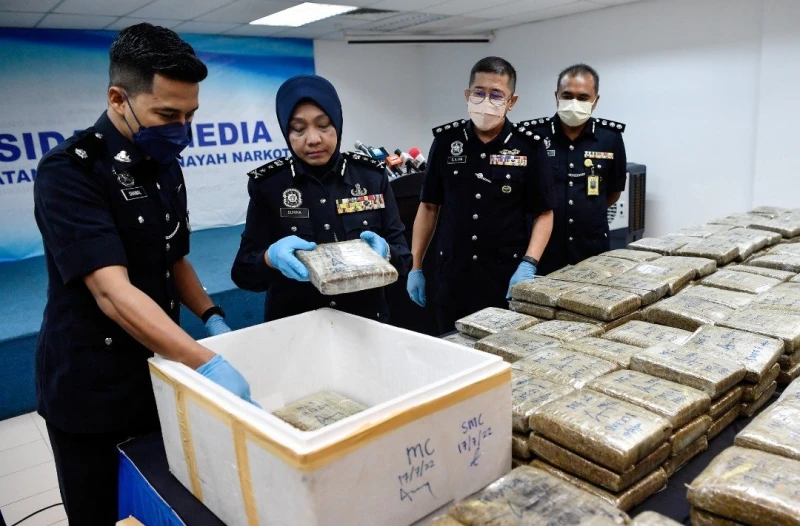 300公斤大麻裝保麗龍魚目混珠　警接情報一路追到檳城