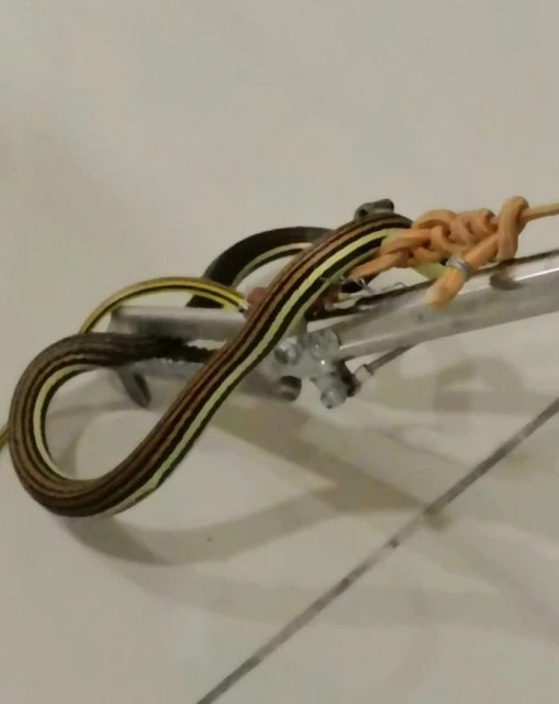 樹蛇闖民宅躲冰箱底 夫婦求助消拯擒捕