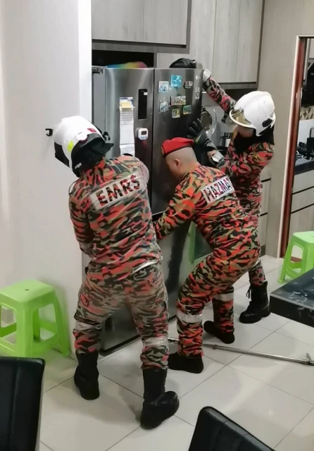 樹蛇闖民宅躲冰箱底 夫婦求助消拯擒捕