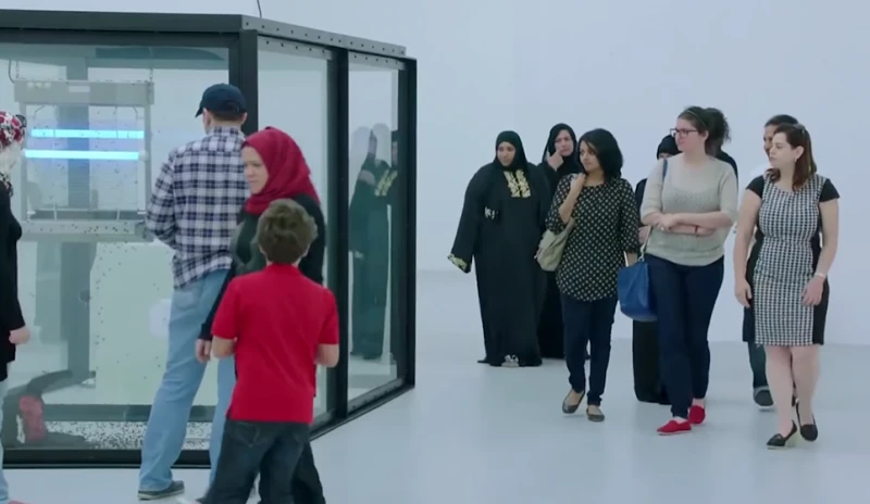 動保組織斥：侵犯蒼蠅權益！德博物館撤下奇特裝置藝術品