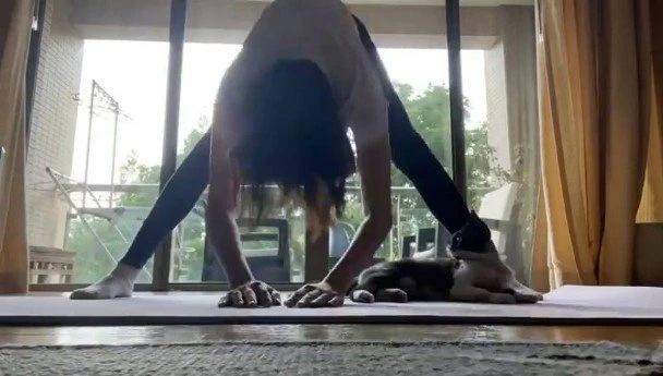 46歲舒淇身材成焦點　馮德倫抱貓燦笑被拱快生小孩！