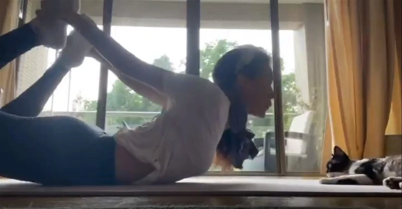 46歲舒淇身材成焦點　馮德倫抱貓燦笑被拱快生小孩！