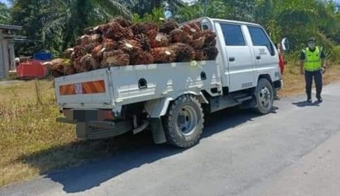載油棕果未用帆布遮蓋 羅厘遭陸交局取蹄