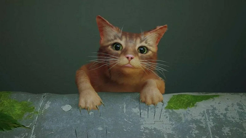 《Stray》貓咪擬真度高　玩家紛紛在推特曬貓