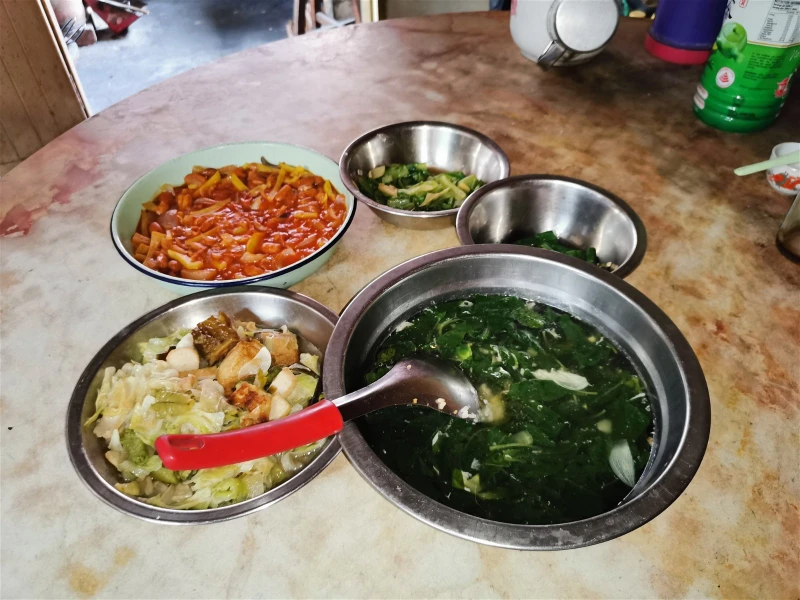 6兄弟生活一貧如洗　靠福利金打散工撐家計