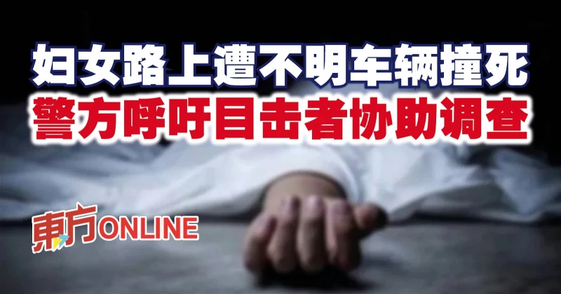 婦女路上遭不明車輛撞死　警方呼籲目擊者協助調查
