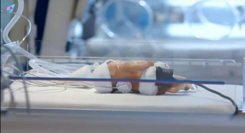 【白色強人II】網民總結3大敗筆　唐詩詠角色最討厭